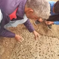 Green Seekers Activity